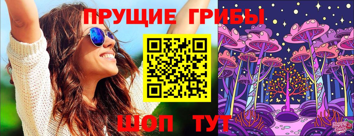 Псилоцибиновые грибы мицелий  Вход с VPN  Псилоцибиновые грибы Psilocybine cubensis  Ефремов 